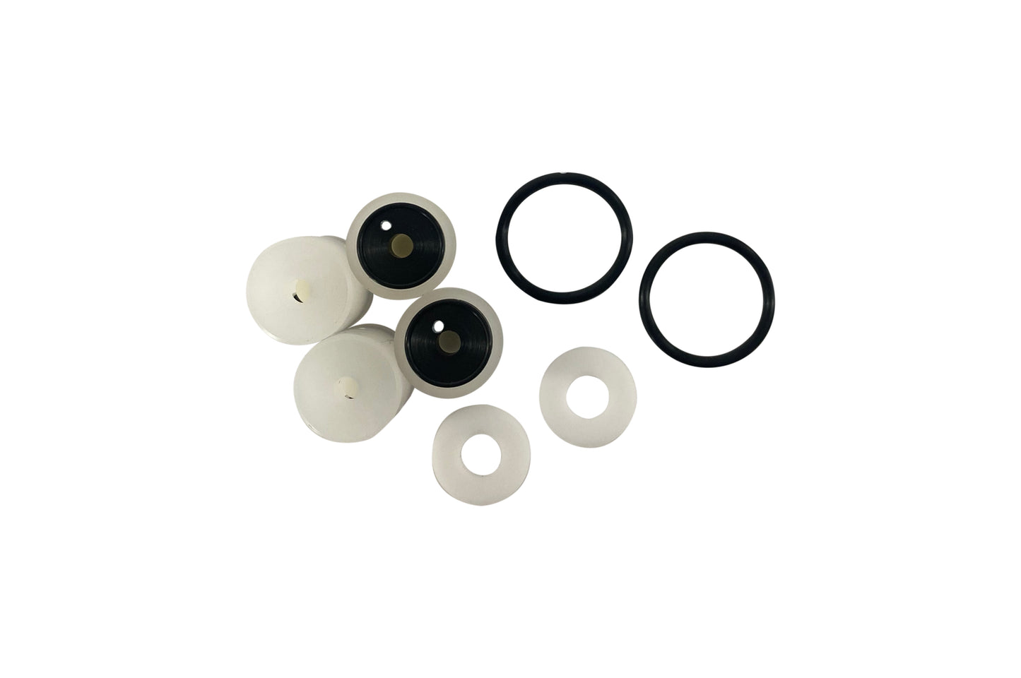 BB006 Valve Set Iwaki Pump Head