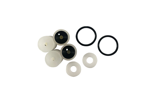 BB006 Valve Set Iwaki Pump Head